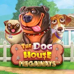 The Dog House Megaways gra w Betscore Casino dla graczy z Polski The Dog House Megaways gra w Betscore Casino dla graczy z Polski