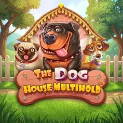 The Dog House Multihold gra w Betscore Casino dla graczy z Polski The Dog House Multihold gra w Betscore Casino dla graczy z Polski